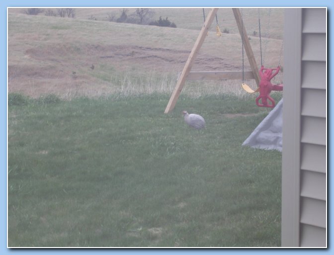 04252009 (2)